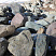 Kamenclub.ru: Гранит скальник (серо-зеленый) фр. 500-1500 мм.  купить в Твери гранит мрамор  серый зеленый темно-серый глыба скальная колотая ландшафтная 7 500 руб/т   фото КАМЕНЬ КЛУБ