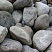 Kamenclub.ru: Речной валун Кабанчик фр.300-500 мм.  купить в Твери крупный природный камень галька серый, темно-серый речной валун галечник масштабный 7000 руб/т   фото КАМЕНЬ КЛУБ